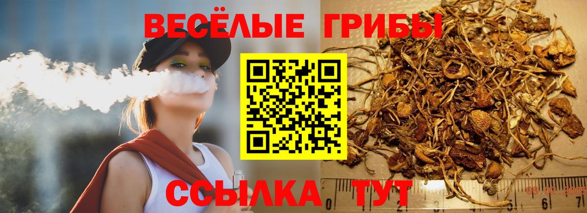 Псилоцибиновые грибы GOLDEN TEACHER Кыштым