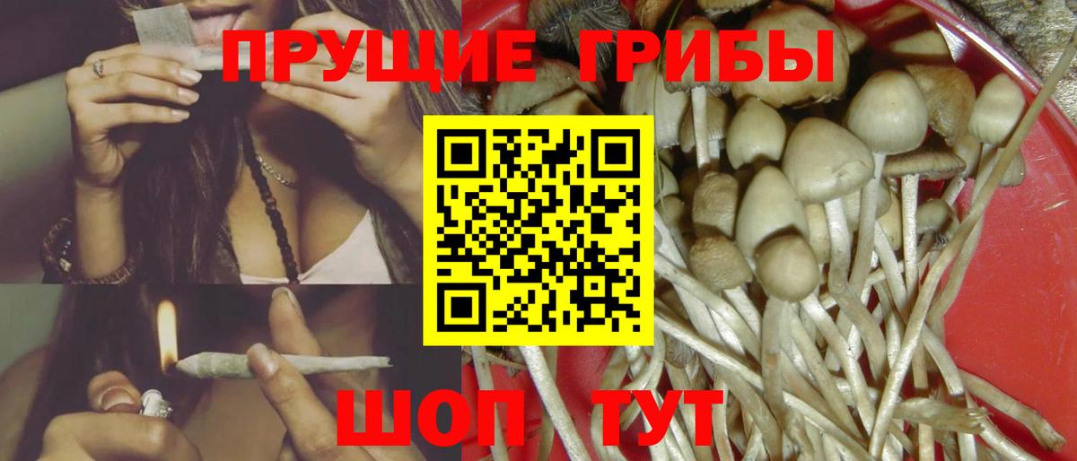 Кыштым  Галлюциногенные грибы мицелий  Галлюциногенные грибы Cubensis  Вход с VPN 